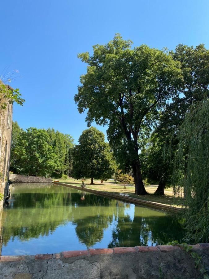 Terrasse Avec Vue Domaine Viticole Lägenhet Sallèles-dʼAude Exteriör bild